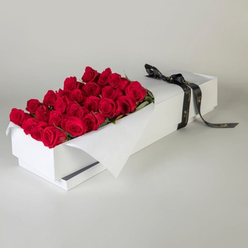 Everlasting Lovely Roses in White